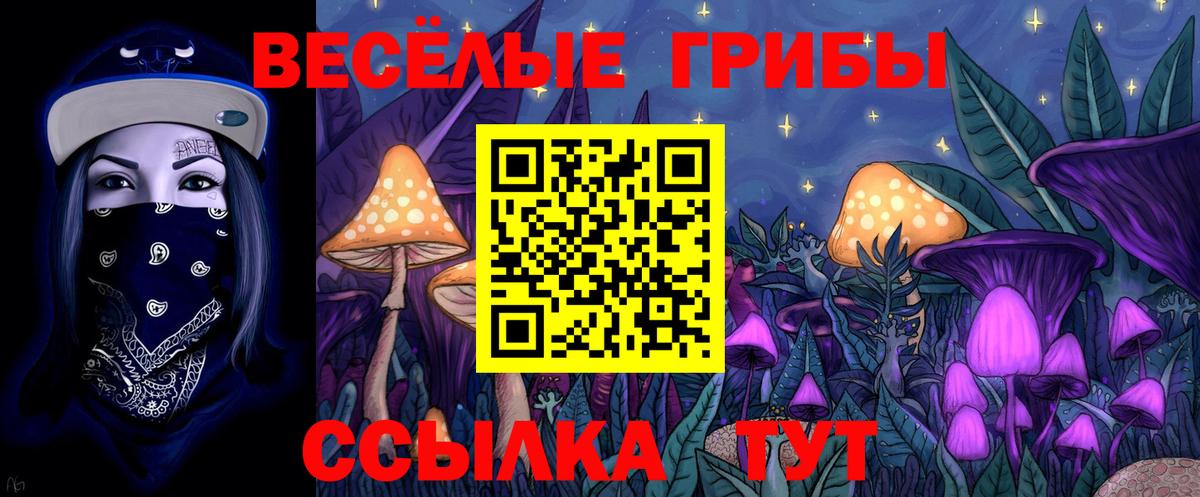Галлюциногенные грибы мицелий  Вход с VPN  Вятские Поляны 